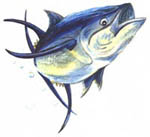 Fishing Tackle Distributor
